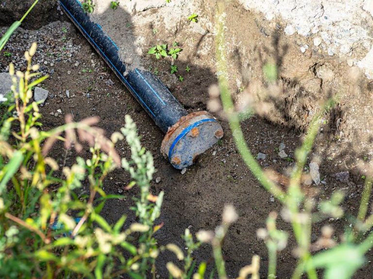 галерия-ВиК-10